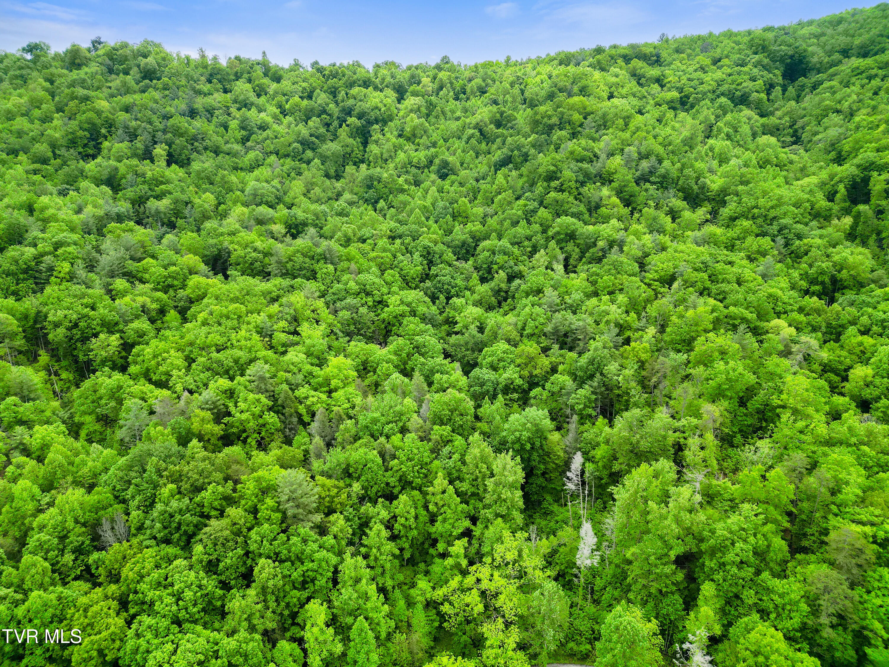 Tbd Paint Mtn Road, Greeneville, Tennessee image 14