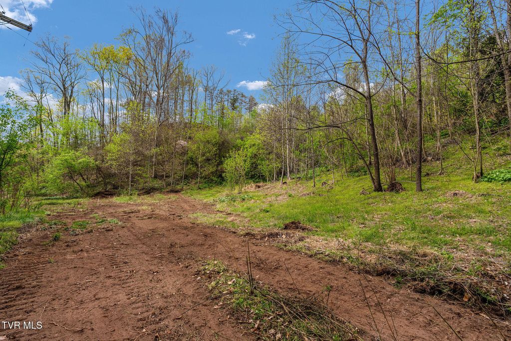 Photo of Tbd Chambers Drive, Elizabethton, TN 37643 (MLS # 9994088)