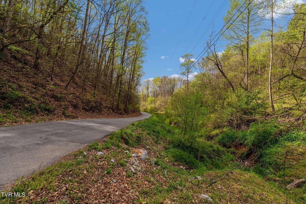 Photo of Tbd Chambers Drive, Elizabethton, TN 37643 (MLS # 9994088)