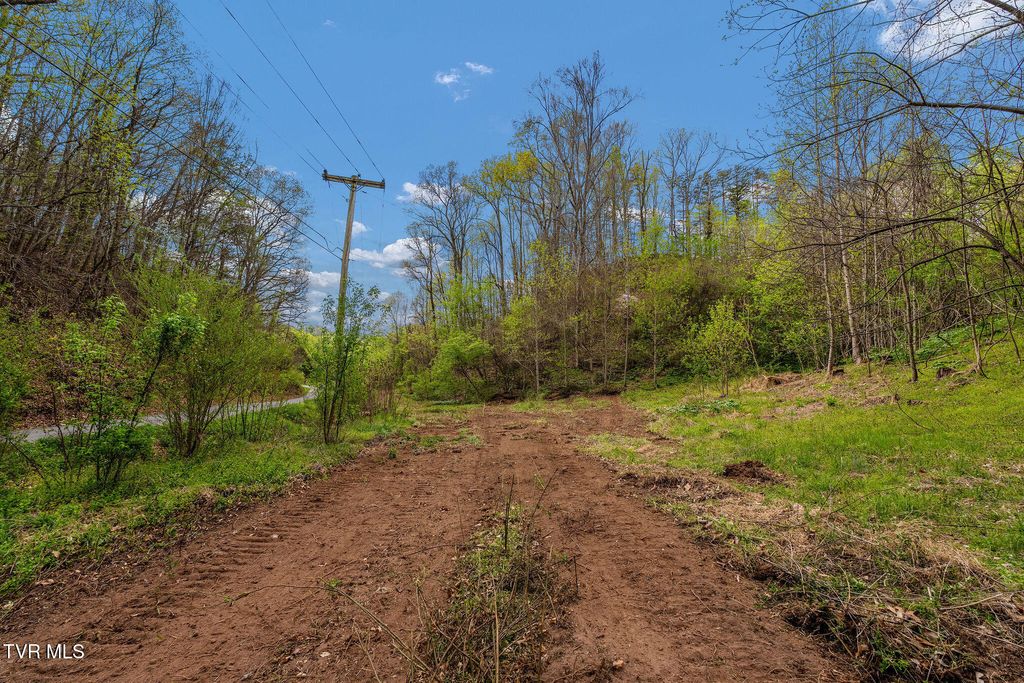 Photo of Tbd Chambers Drive, Elizabethton, TN 37643 (MLS # 9994088)
