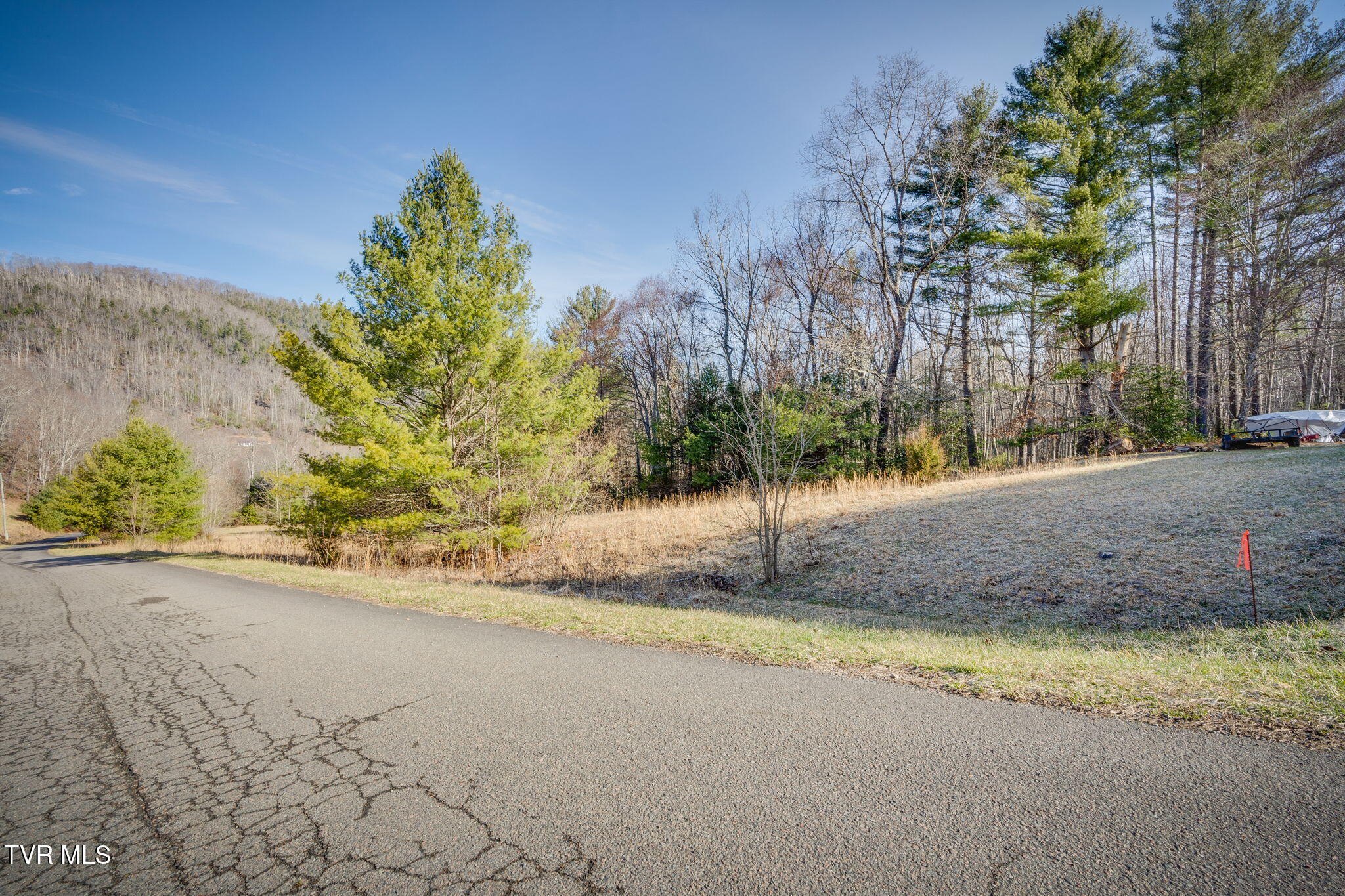 Lots 9-10 Myrtle Drive, Butler, Tennessee image 6