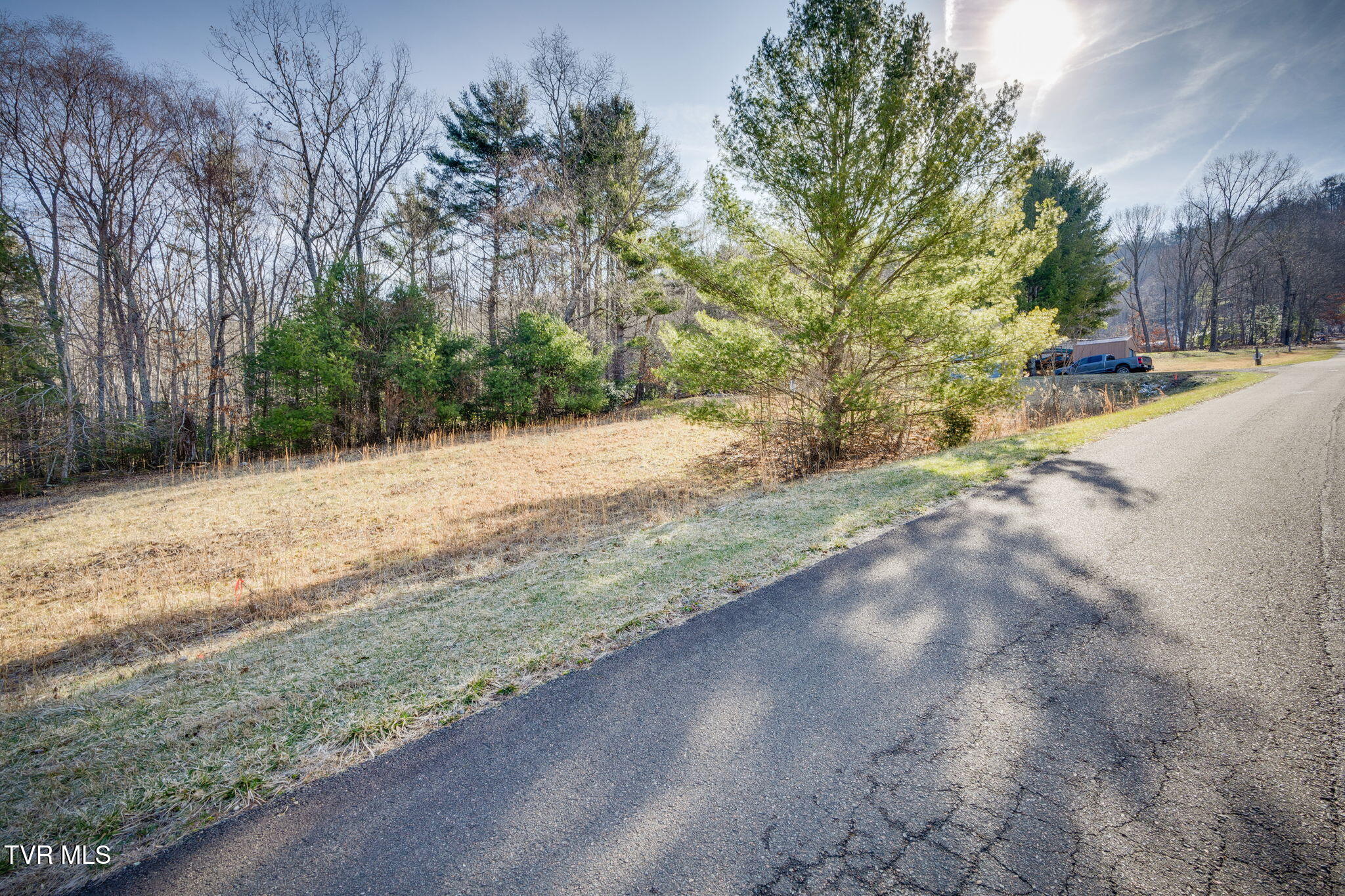 Lots 9-10 Myrtle Drive, Butler, Tennessee image 7
