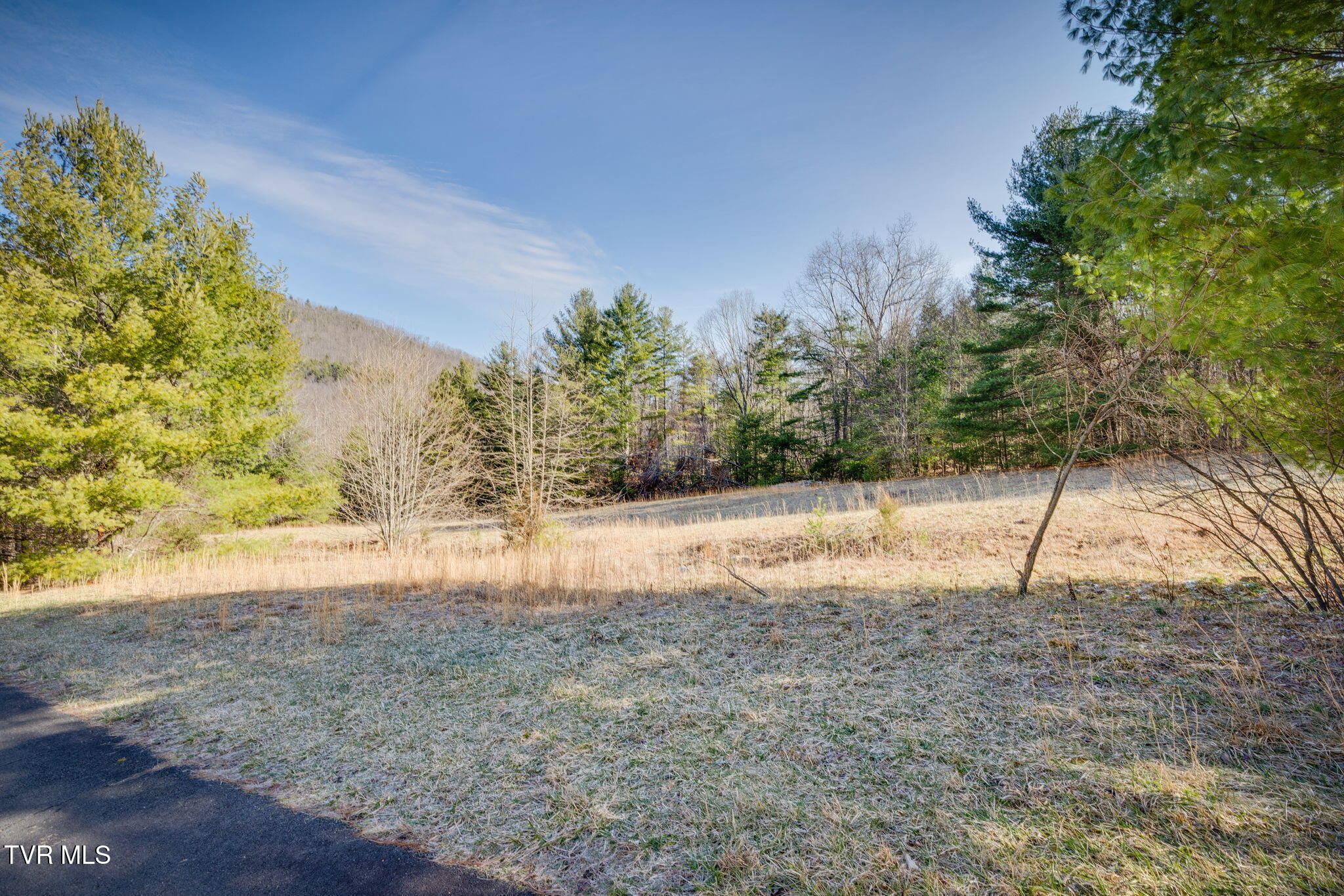 Lots 9-10 Myrtle Drive, Butler, Tennessee image 9