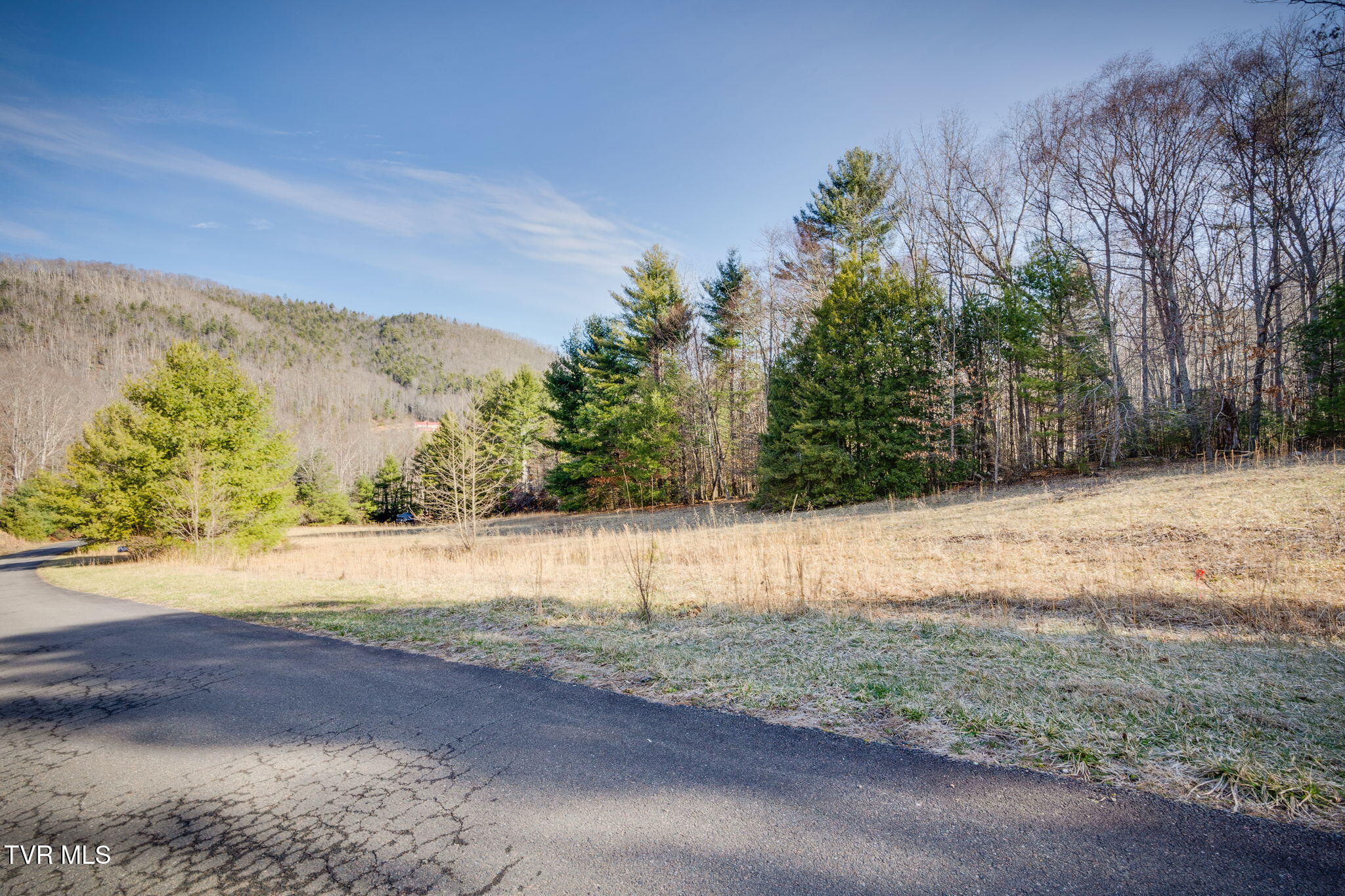 Lots 9-10 Myrtle Drive, Butler, Tennessee image 1