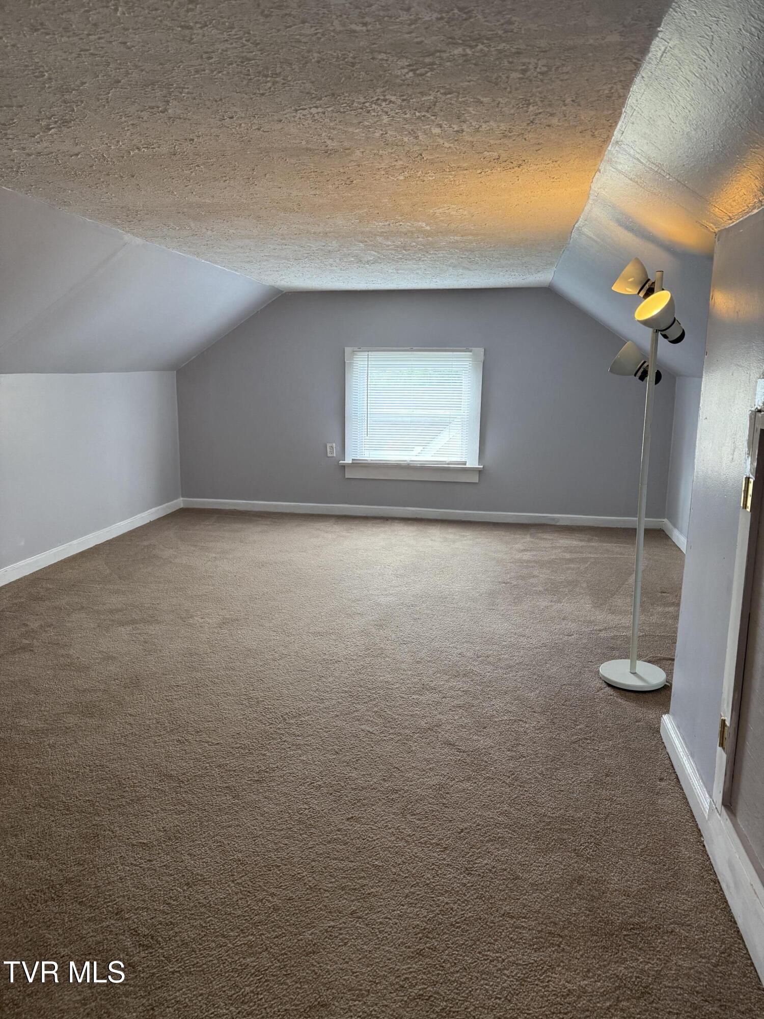 379 Oakland Street, Abingdon, Virginia image 22