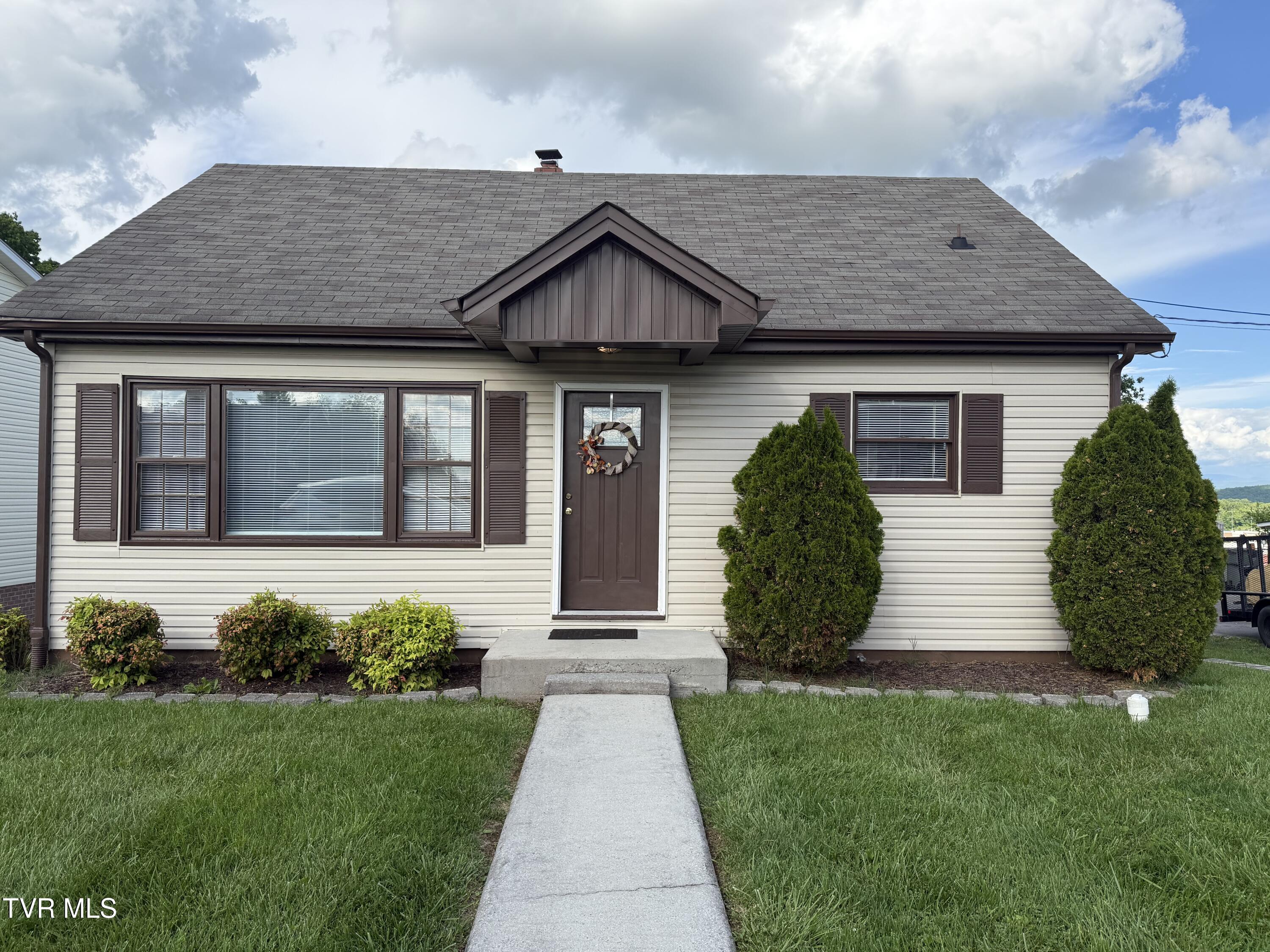 379 Oakland Street, Abingdon, Virginia image 1