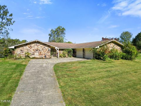 Photo of 1207 Christy Court, Greeneville, TN 37743 (MLS # 9987198)