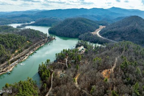 Vacant Land For Sale - TBD Mountain Wynd Drive<br/> Johnson County, Butler, TN 37640