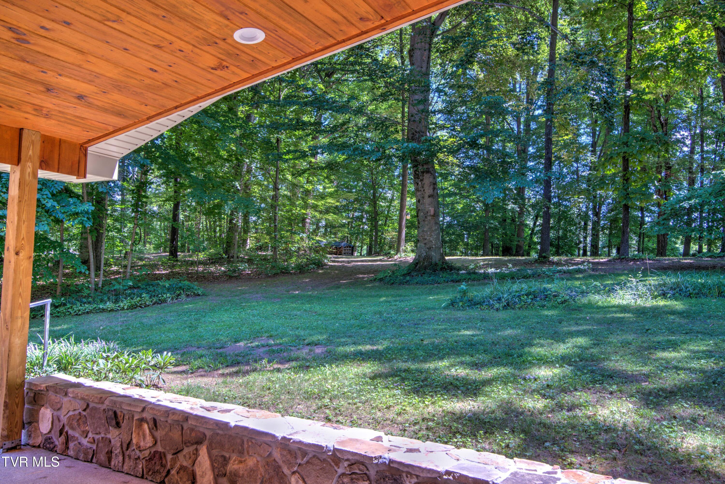 355 Holston Drive, Blountville, Tennessee image 21