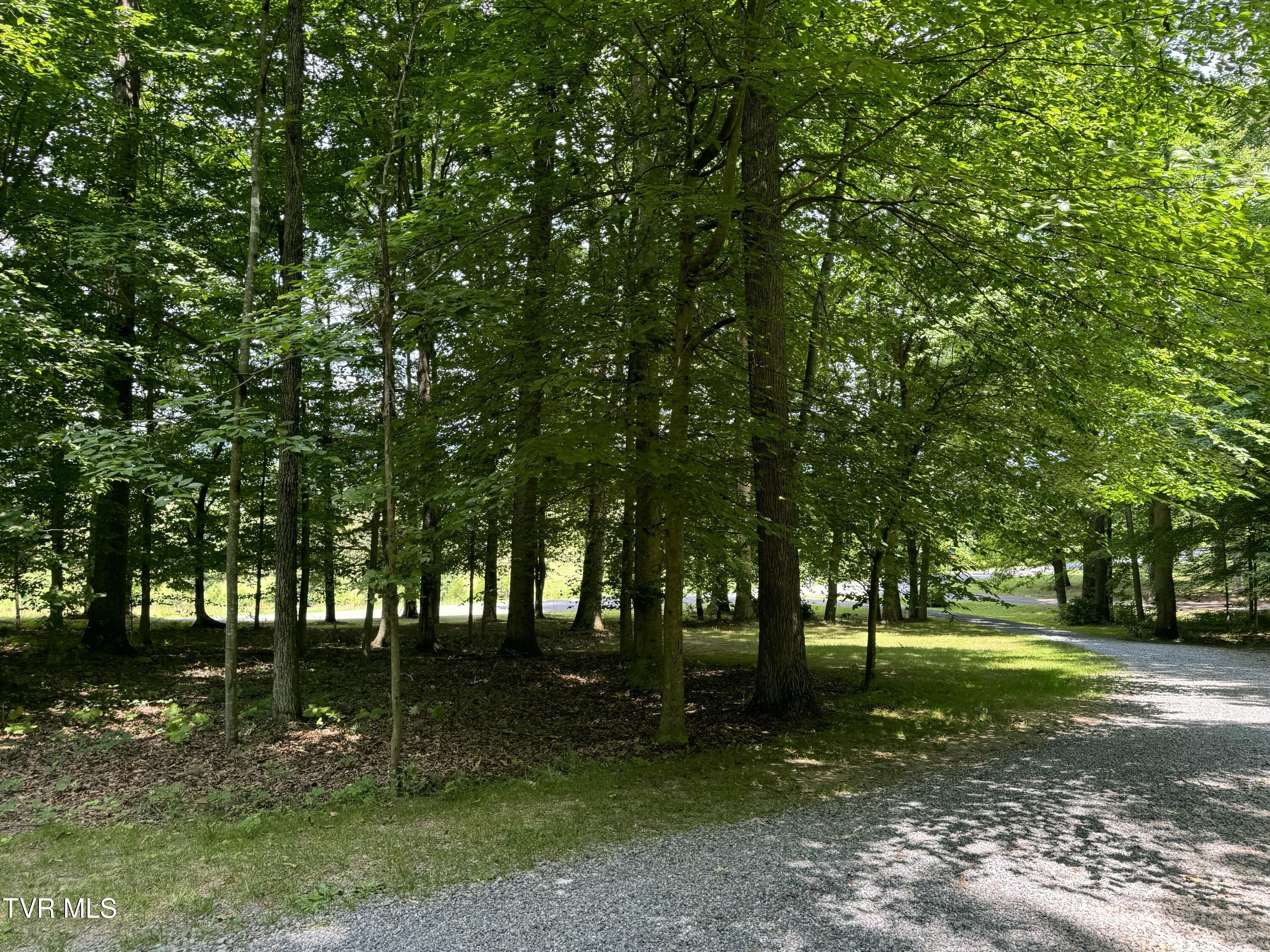 355 Holston Drive, Blountville, Tennessee image 50