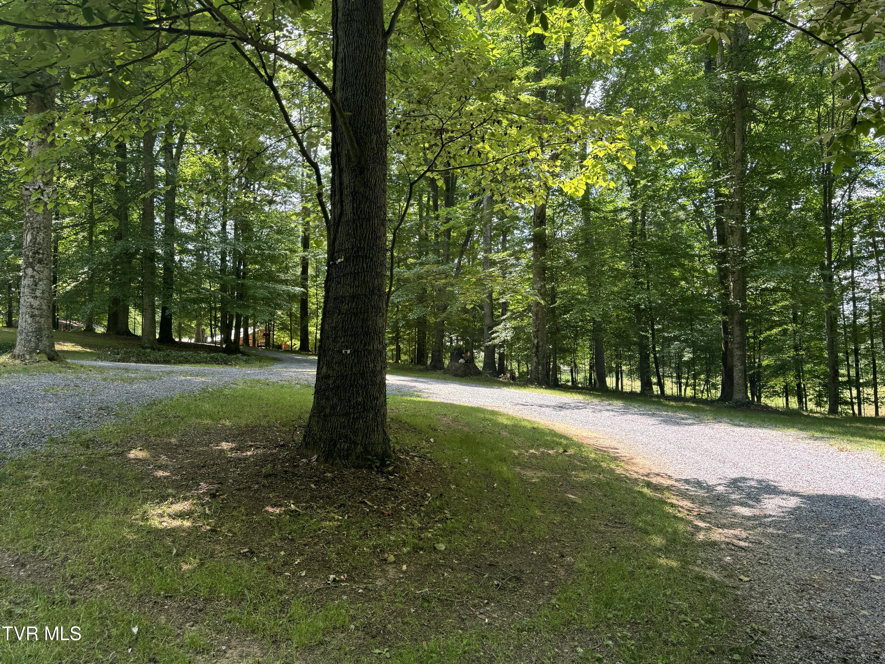 355 Holston Drive, Blountville, Tennessee image 48