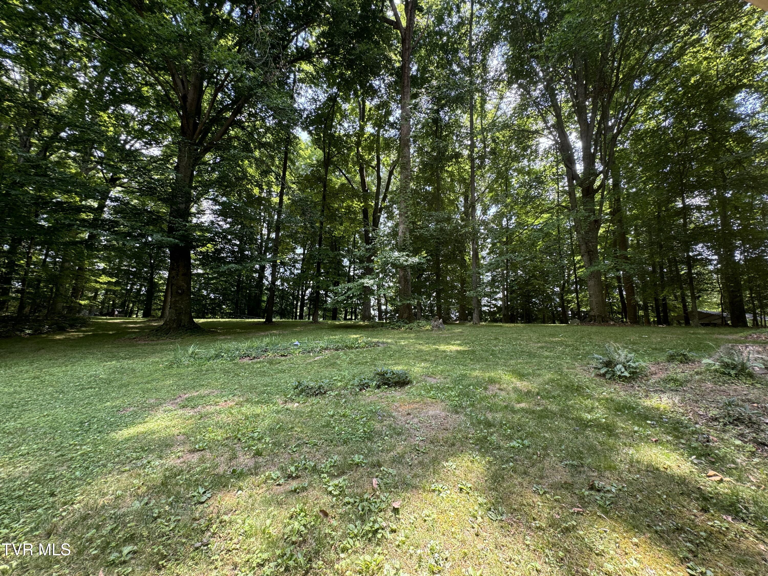 355 Holston Drive, Blountville, Tennessee image 20