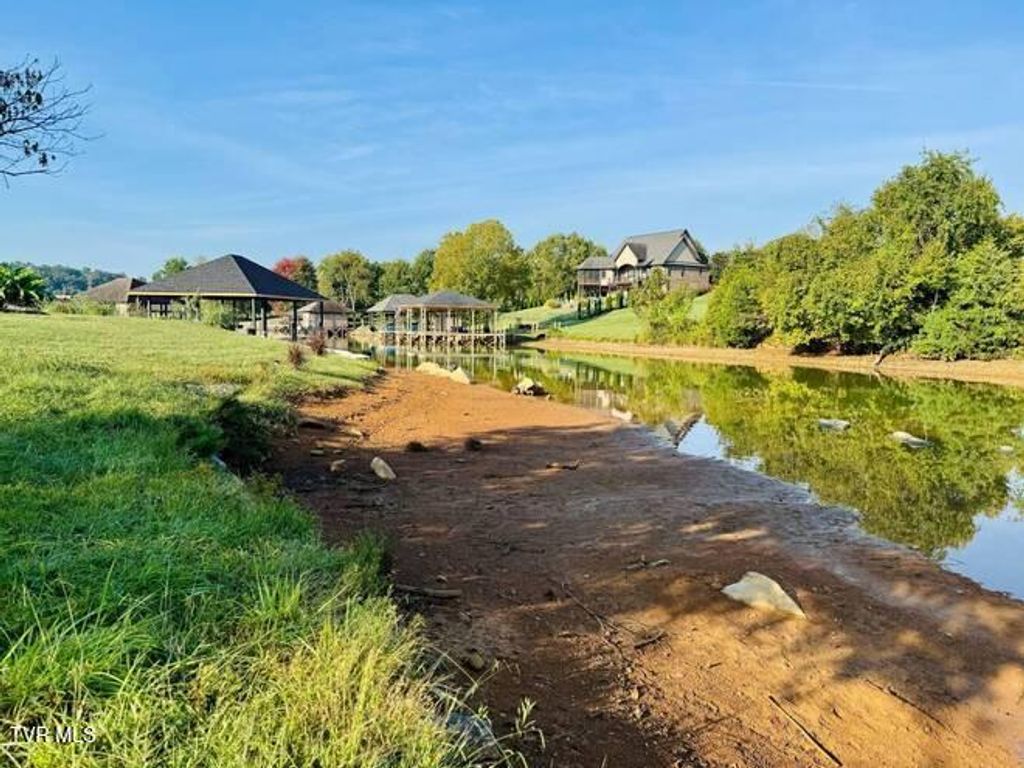 Photo of 164 Forest Lane, Blountville, TN 37617 (MLS # 9990867)