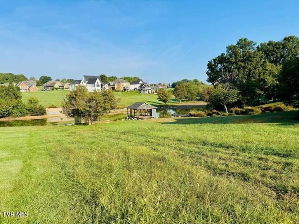 Photo of 164 Forest Lane, Blountville, TN 37617 (MLS # 9990867)