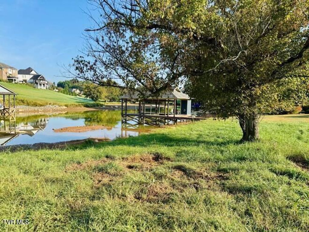 Photo of 164 Forest Lane, Blountville, TN 37617 (MLS # 9990867)