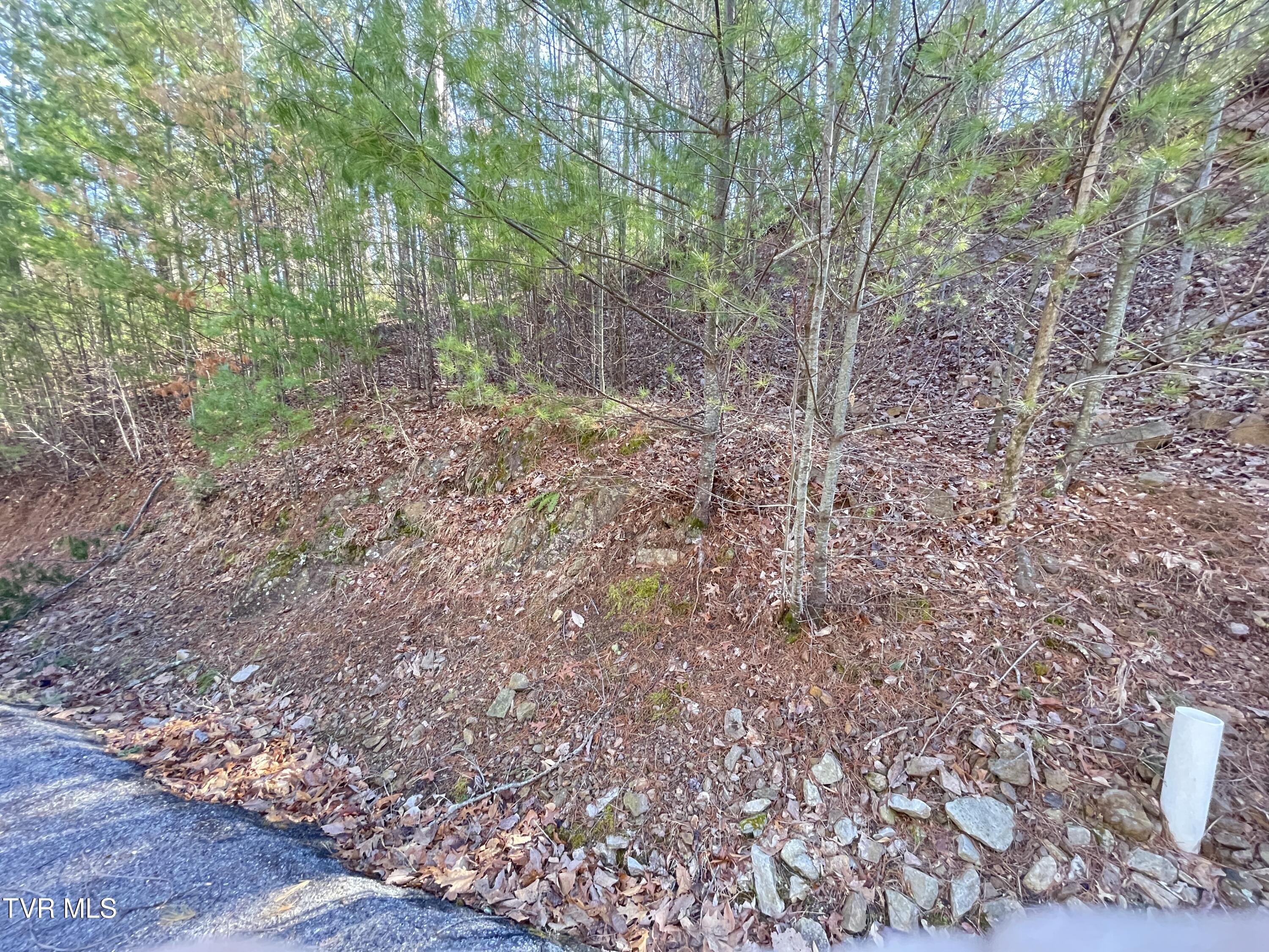 York Cabin/heidi Hill Ln Road #7, Butler, Tennessee image 9