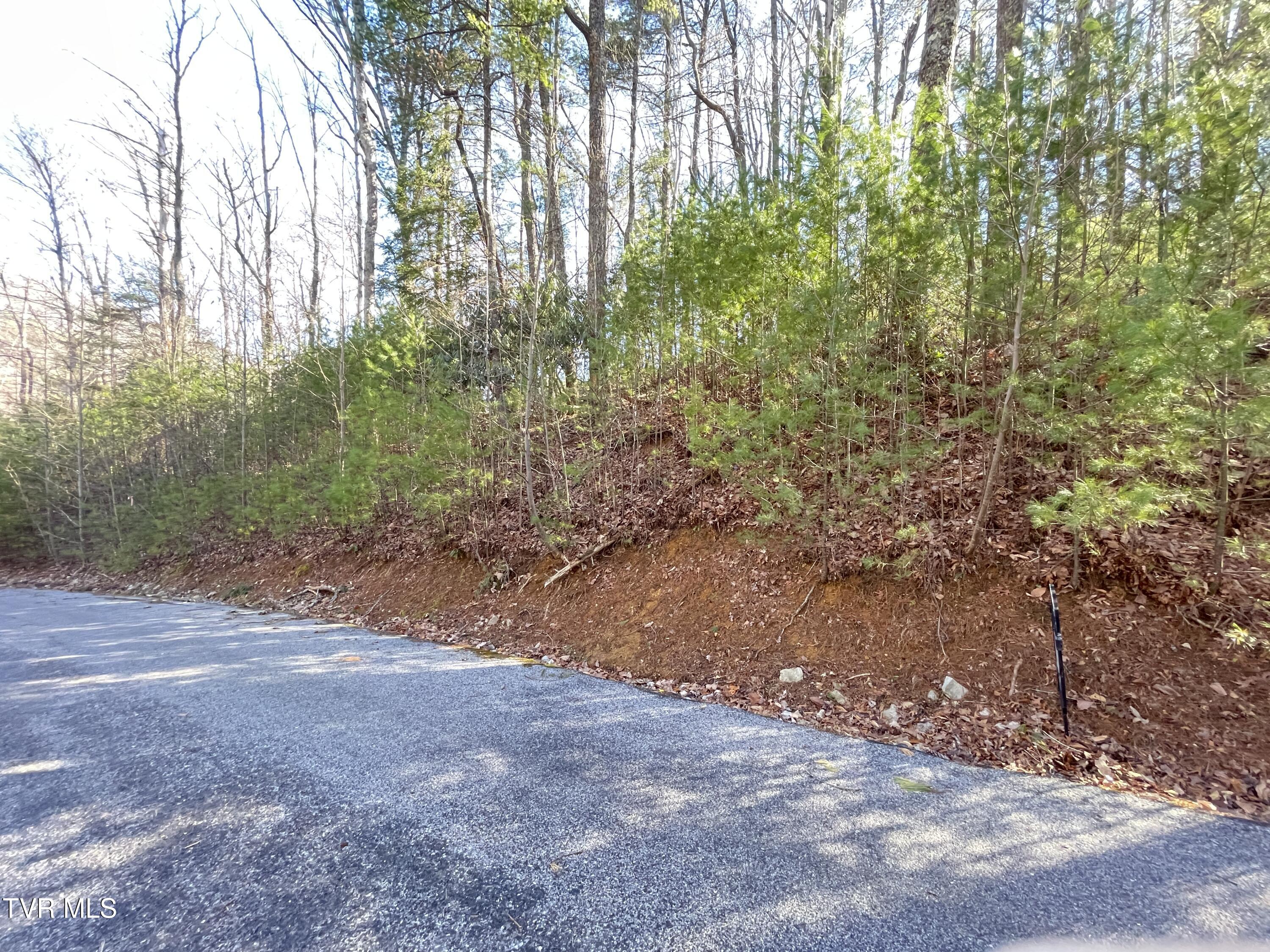 York Cabin/heidi Hill Ln Road #7, Butler, Tennessee image 11