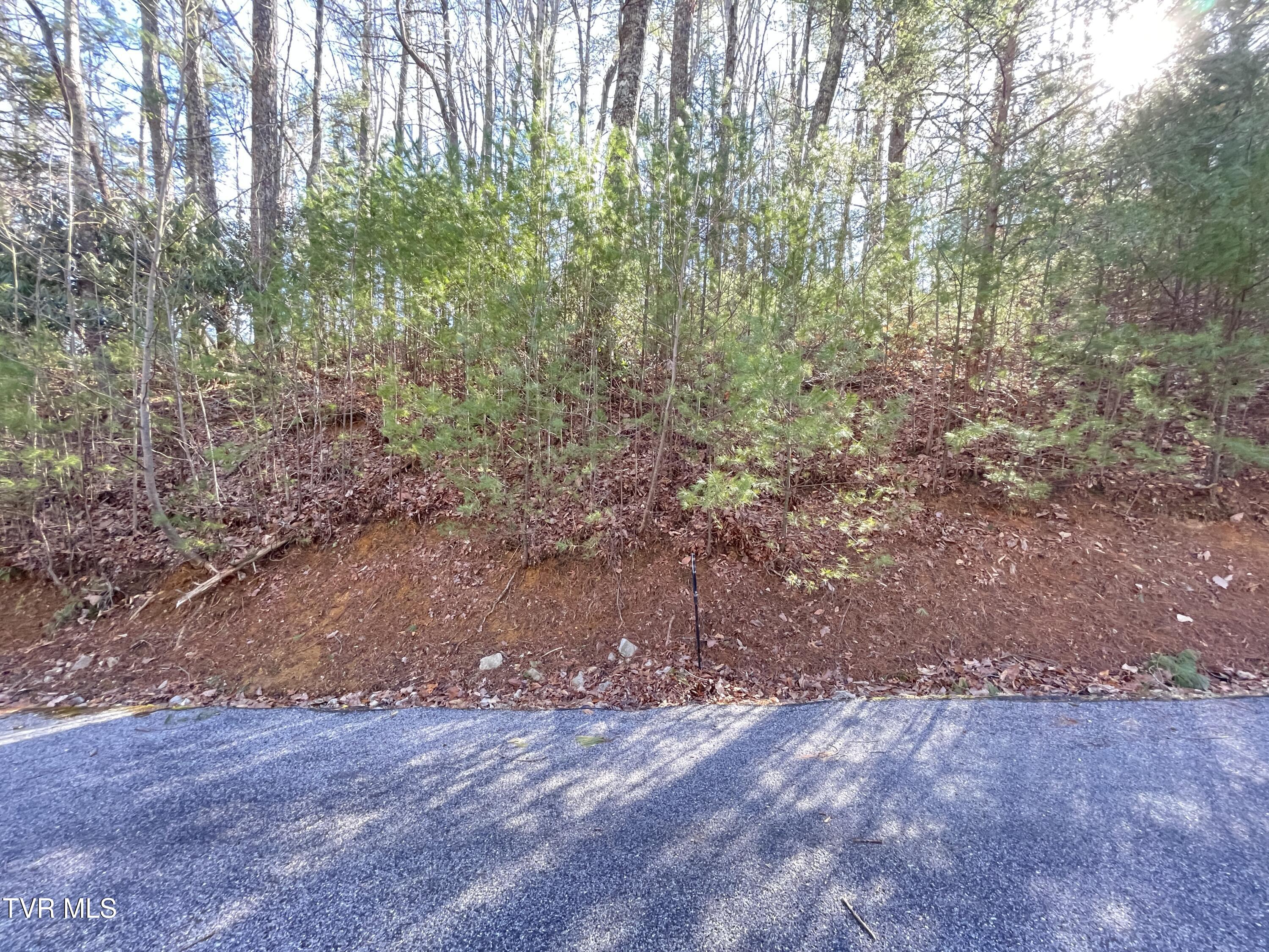 York Cabin/heidi Hill Ln Road #7, Butler, Tennessee image 13