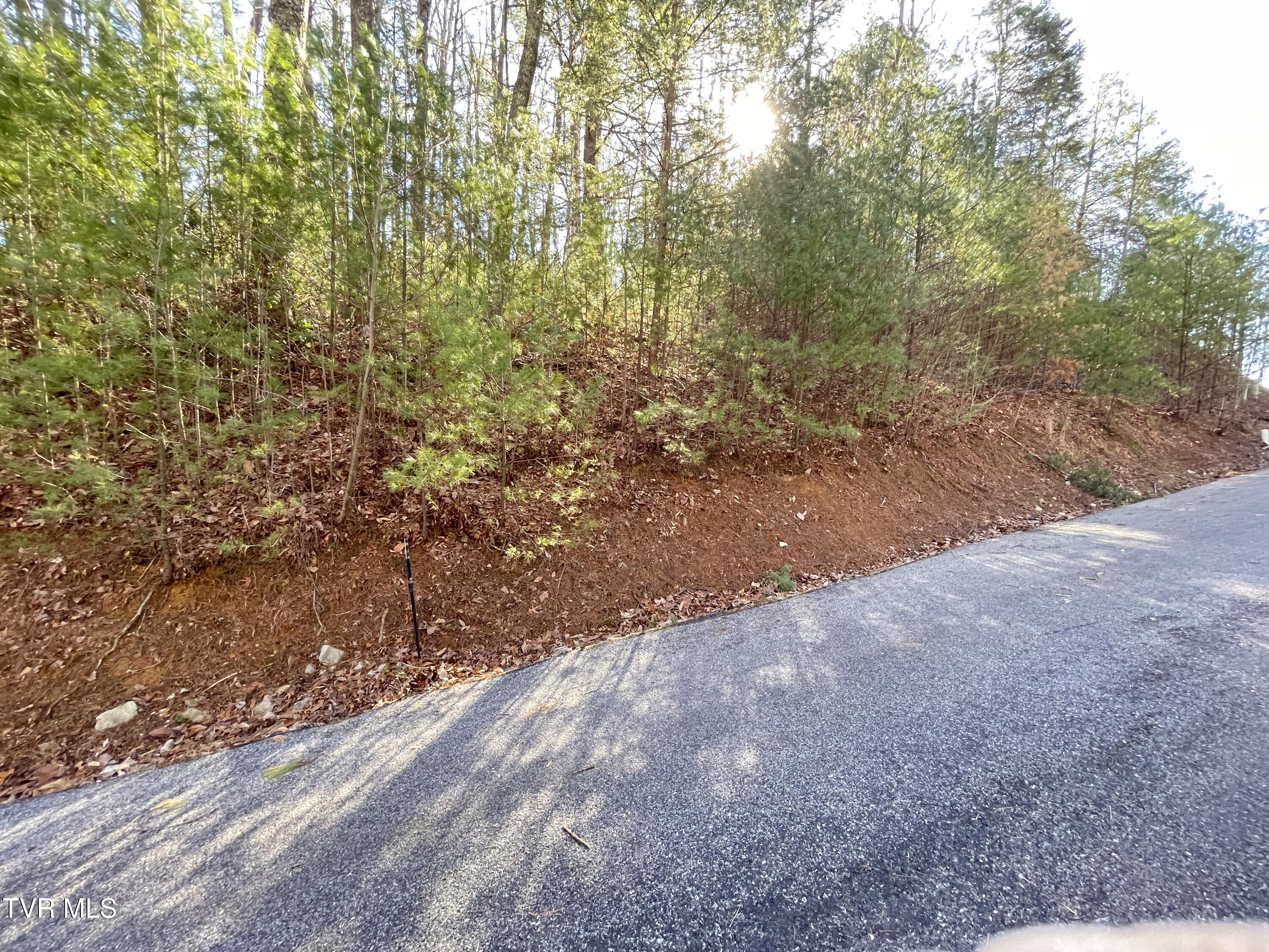 York Cabin/heidi Hill Ln Road #7, Butler, Tennessee image 14