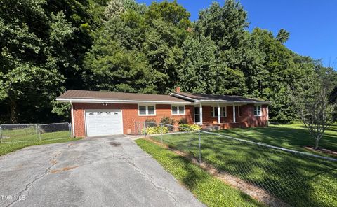 Photo of 248 Burbank Road, Roan Mountain, TN 37687 (MLS # 9997691)