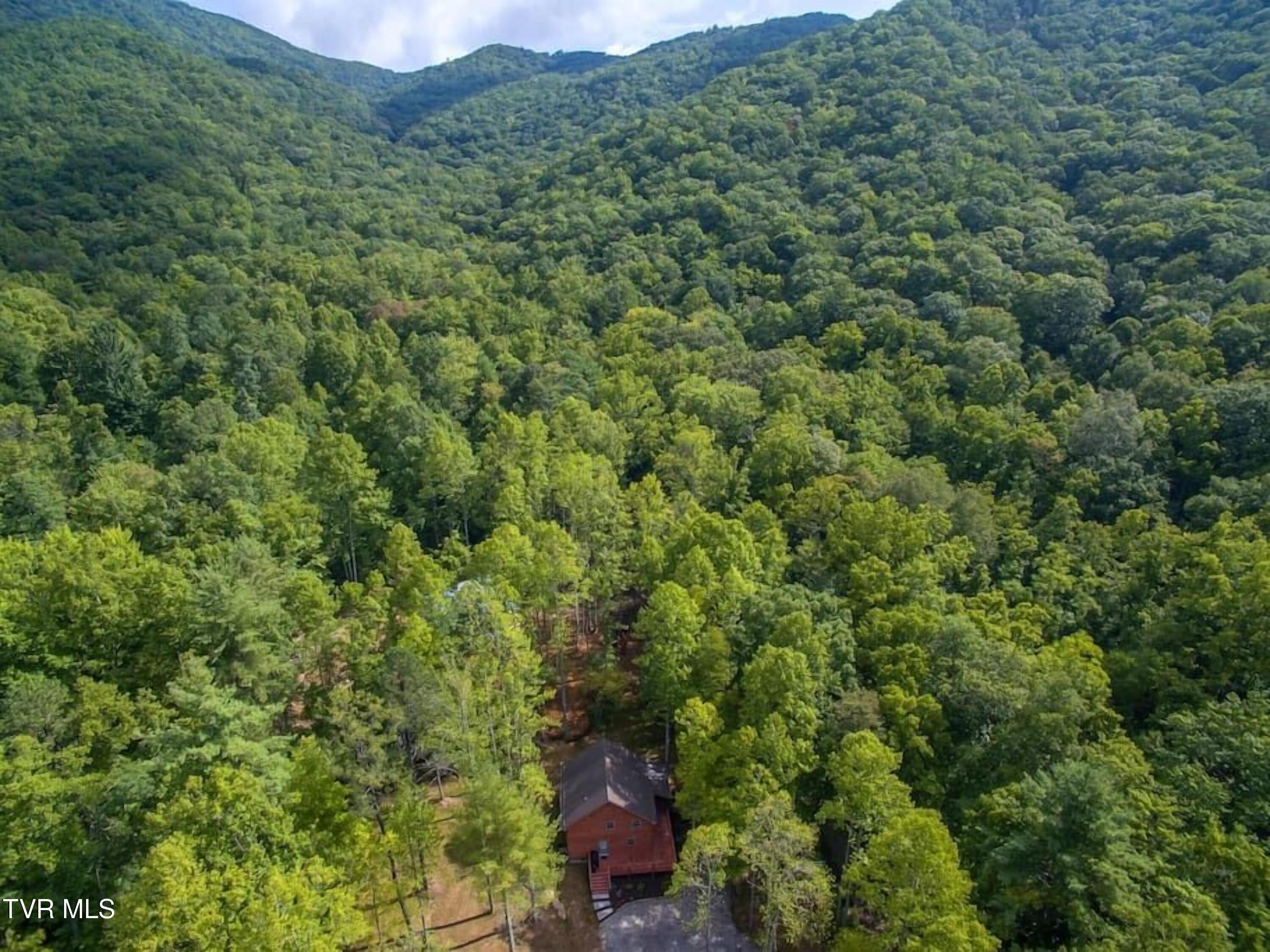 1769 Dennis Cove Road, Hampton, Tennessee image 47
