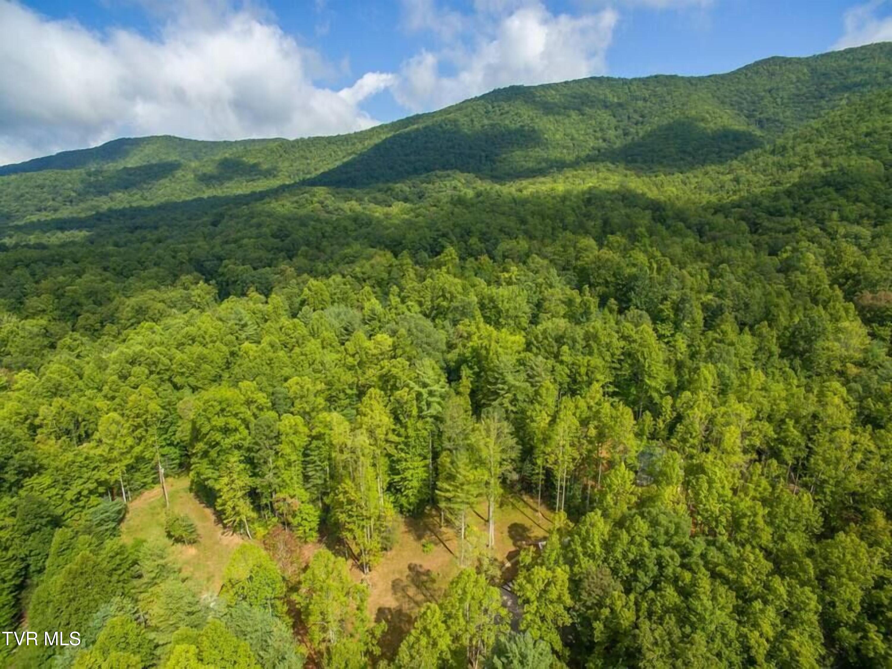 1769 Dennis Cove Road, Hampton, Tennessee image 34
