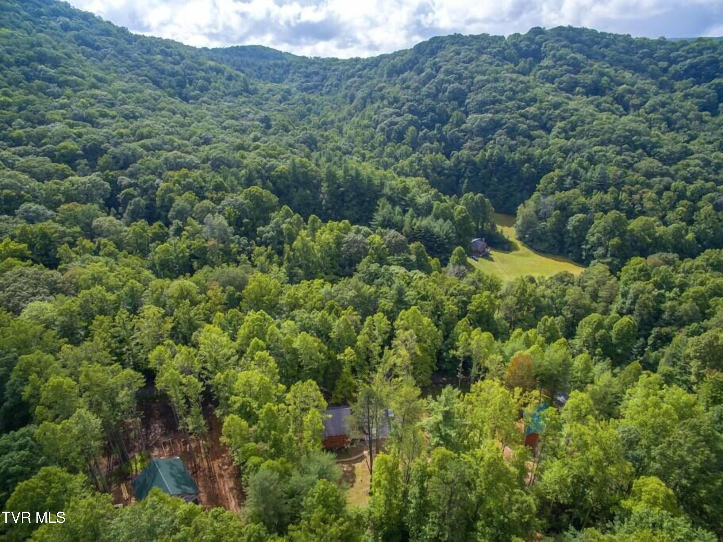 1769 Dennis Cove Road, Hampton, Tennessee image 41