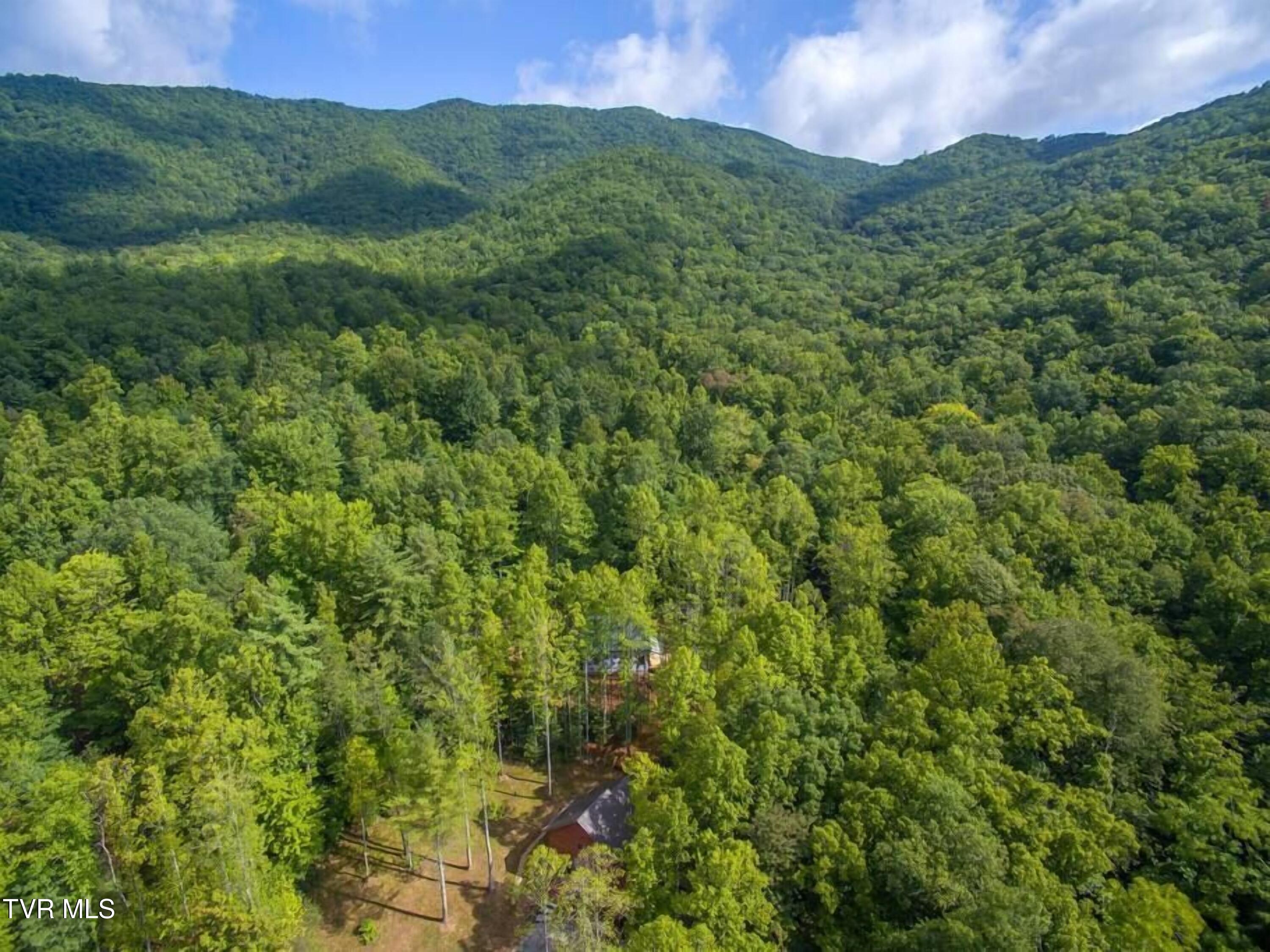 1769 Dennis Cove Road, Hampton, Tennessee image 35
