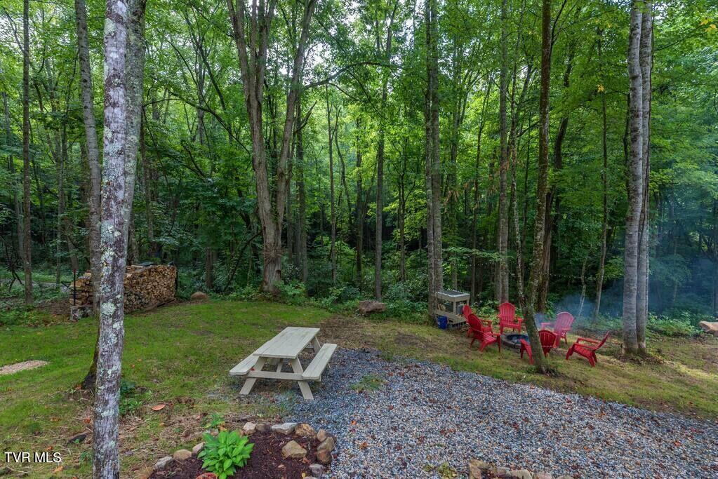 1769 Dennis Cove Road, Hampton, Tennessee image 48