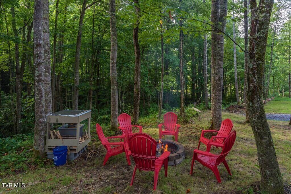 1769 Dennis Cove Road, Hampton, Tennessee image 39