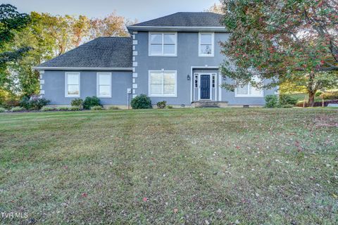 Photo of 3424 Berkshire Circle, Johnson City, TN 37604 (MLS # 9992348)