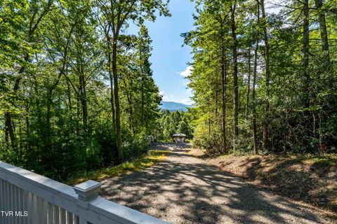 Vacant Land For Sale - 584 Dotson Road<br/> Johnson County, Trade, TN 37691