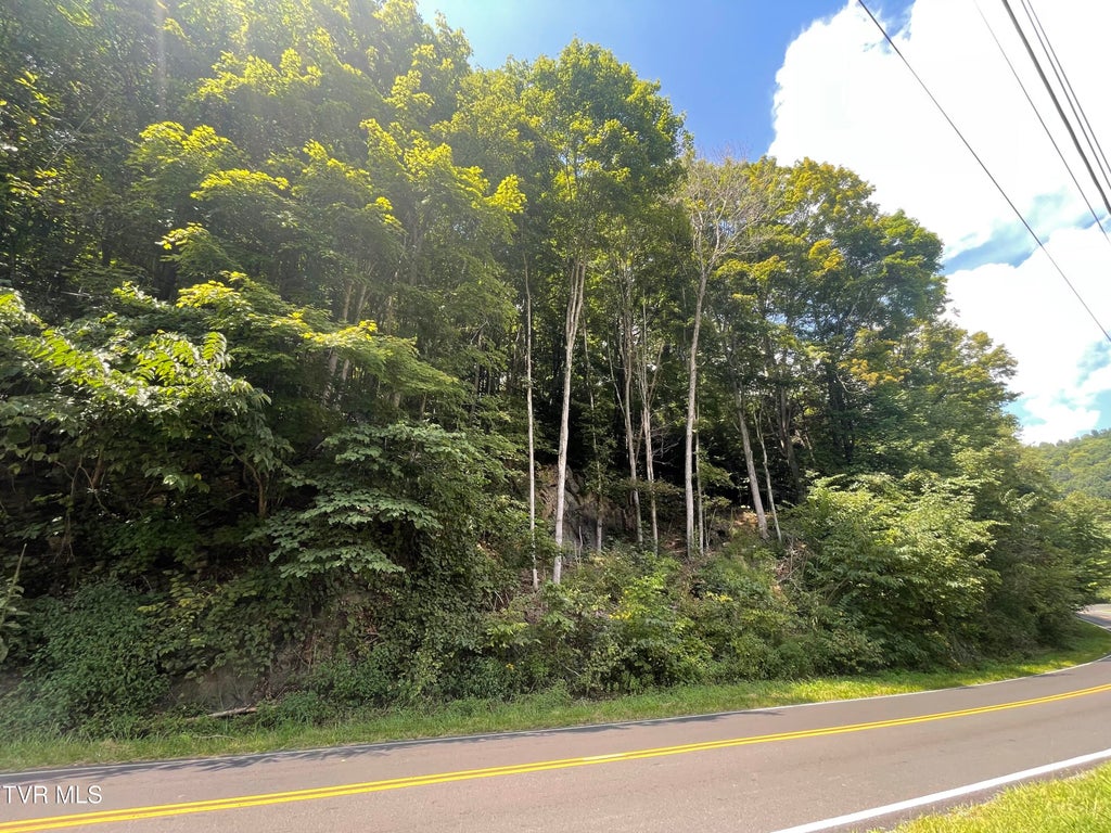 Photo of 1520 Pioneer Road, Lebanon, VA 24266 (MLS # 10000165)