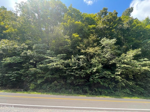 Vacant Land For Sale - 1520 Pioneer Road<br/> Lebanon, VA 24266