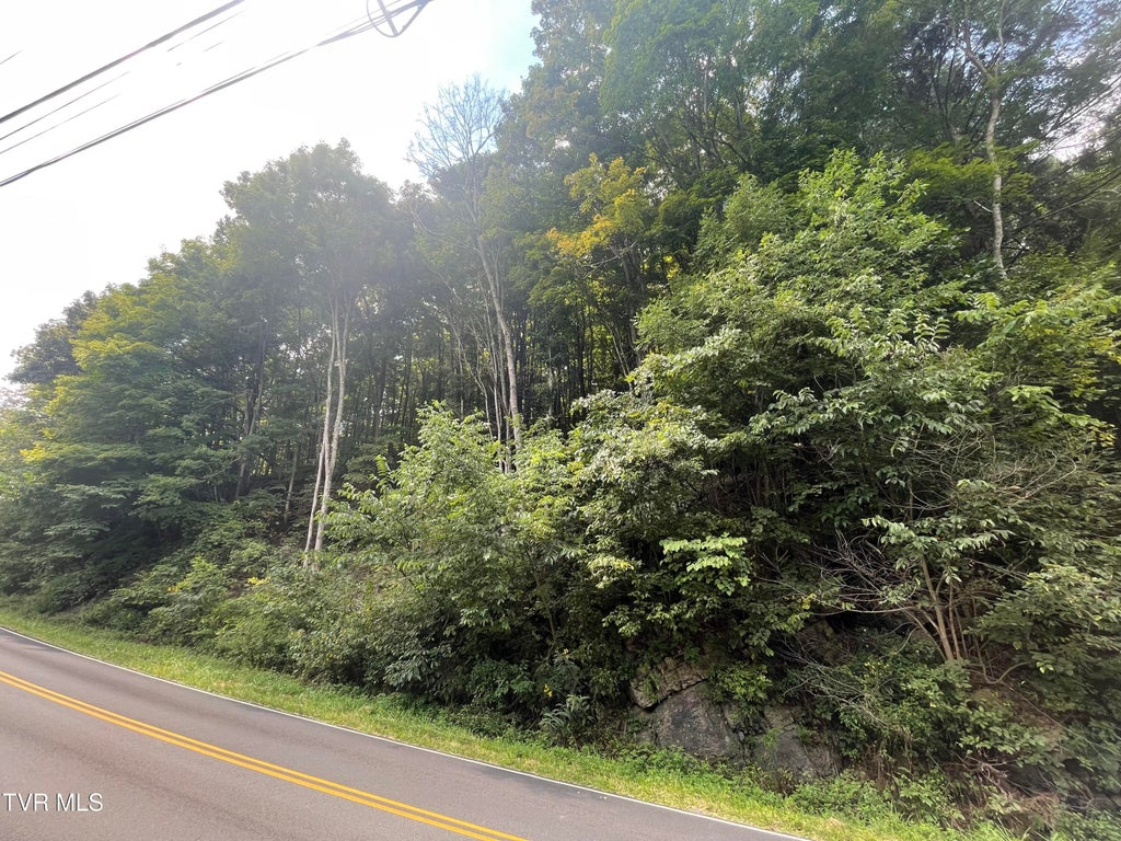 Photo of 1520 Pioneer Road, Lebanon, VA 24266 (MLS # 10000165)
