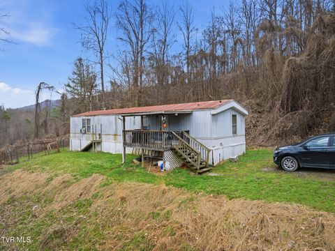 Homes For Sale - 4157 Van Hill Road<br/> Greeneville, TN 37745