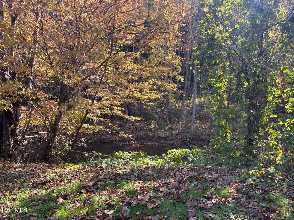 Photo of 1208 Doe Creek Road, Butler, TN 37640 (MLS # 9990833)