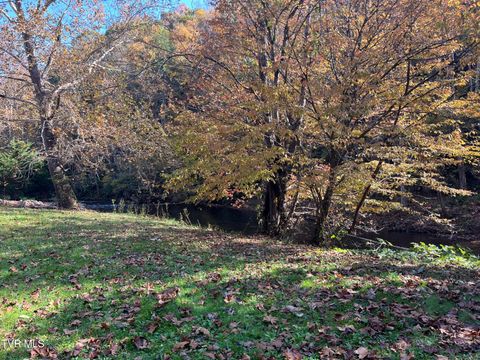 Vacant Land For Sale - 1208 Doe Creek Road<br/> Johnson County, Butler, TN 37640