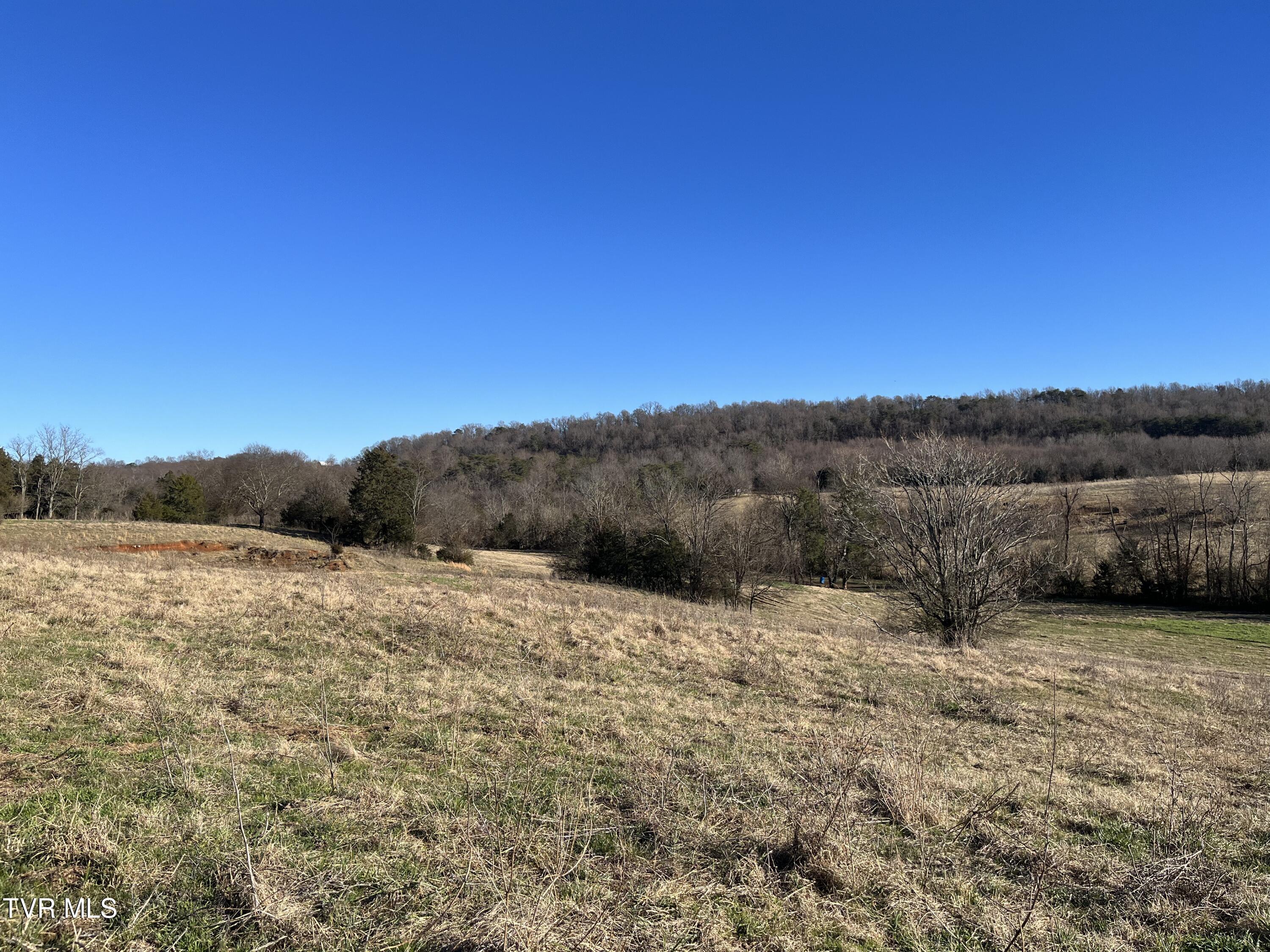 Tbd Lot 1 Old Asheville Highway, Greeneville, Tennessee image 7