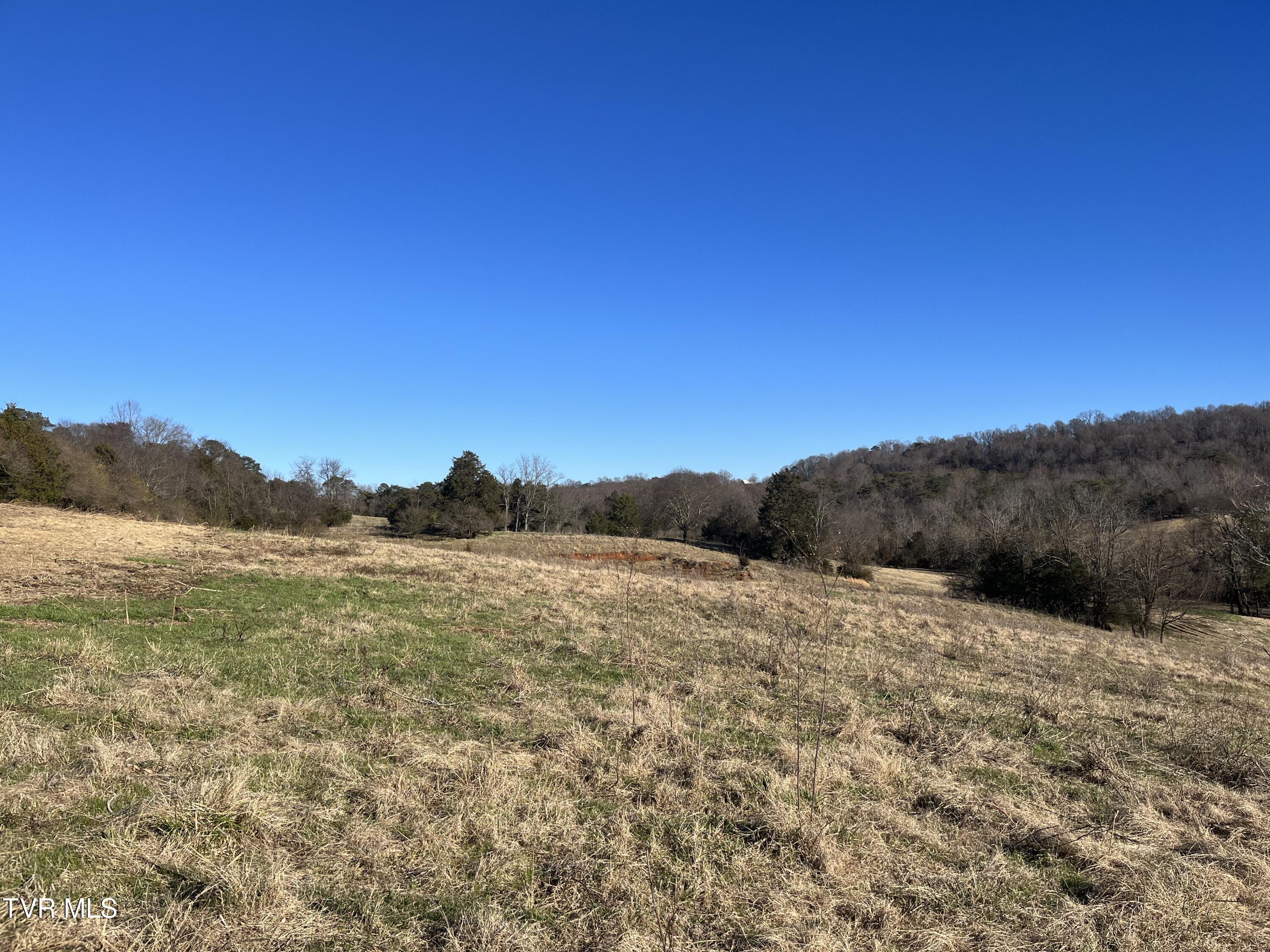 Tbd Lot 1 Old Asheville Highway, Greeneville, Tennessee image 1