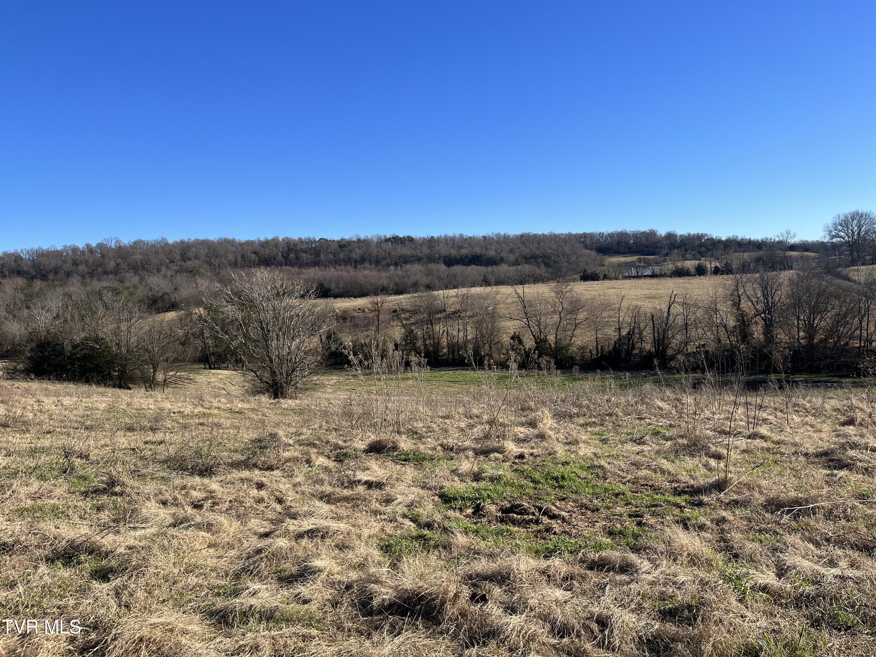 Tbd Lot 1 Old Asheville Highway, Greeneville, Tennessee image 8