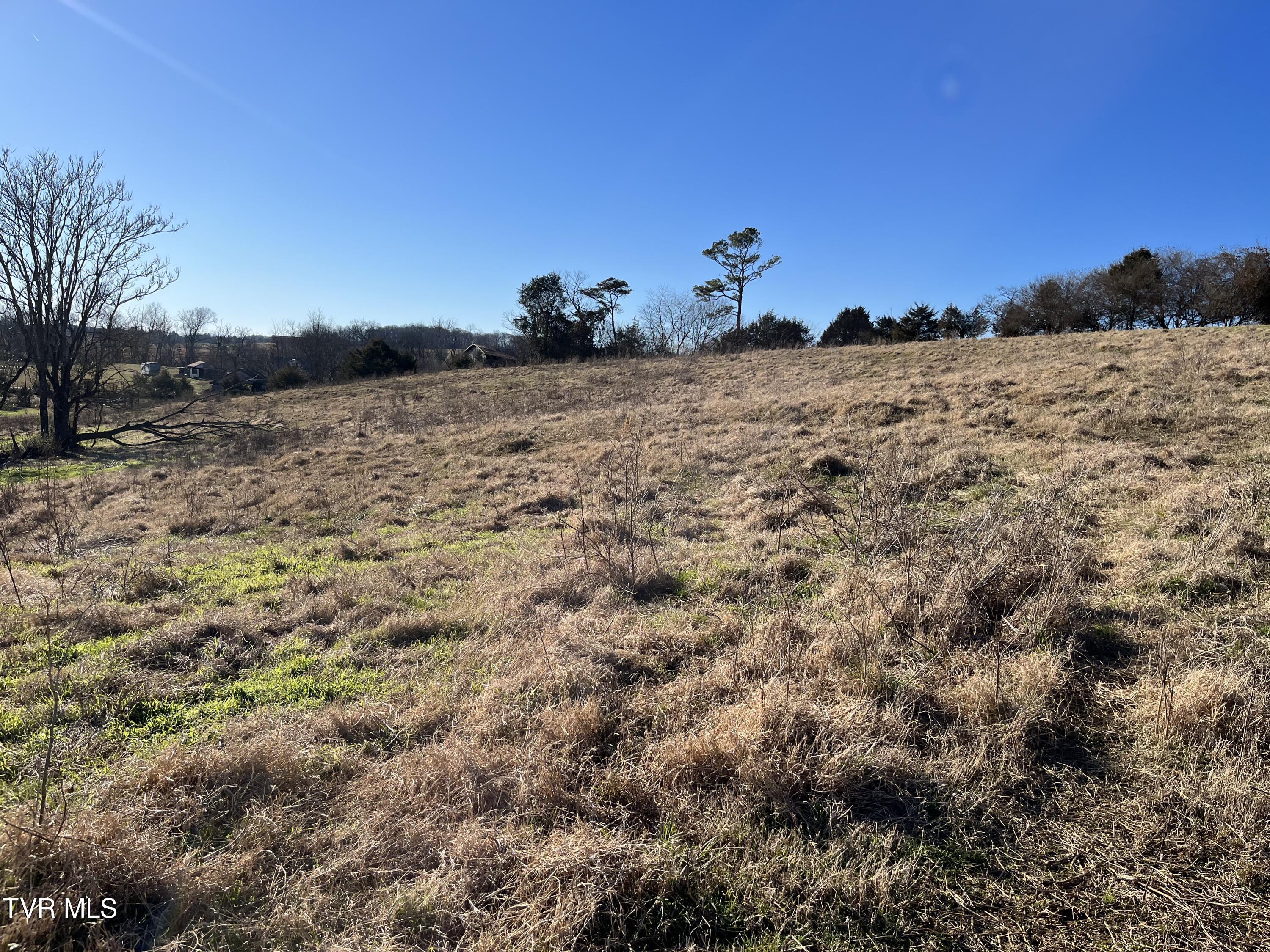 Tbd Lot 1 Old Asheville Highway, Greeneville, Tennessee image 5