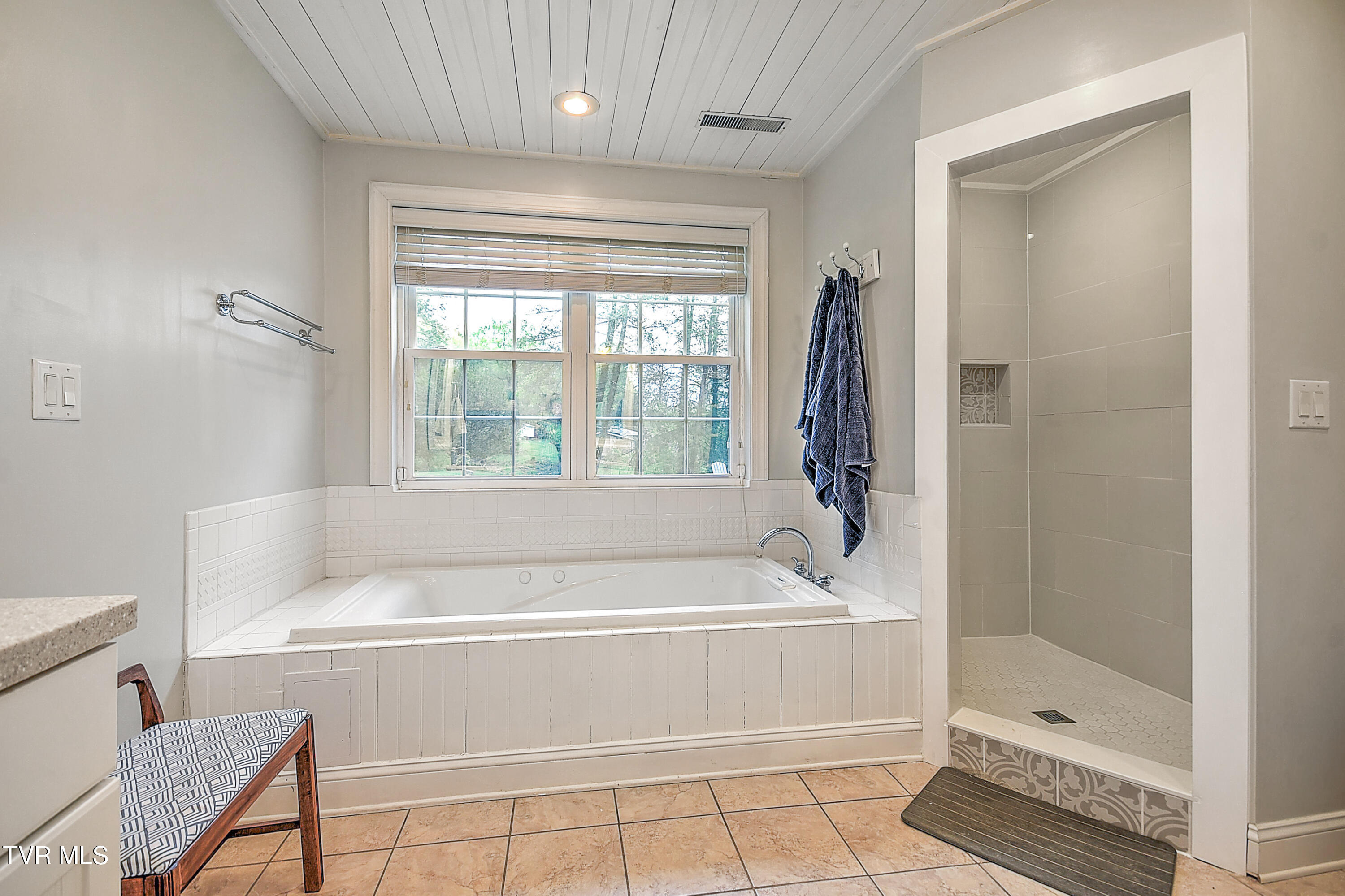 205 Lavinder Lane, Bristol, Tennessee image 33