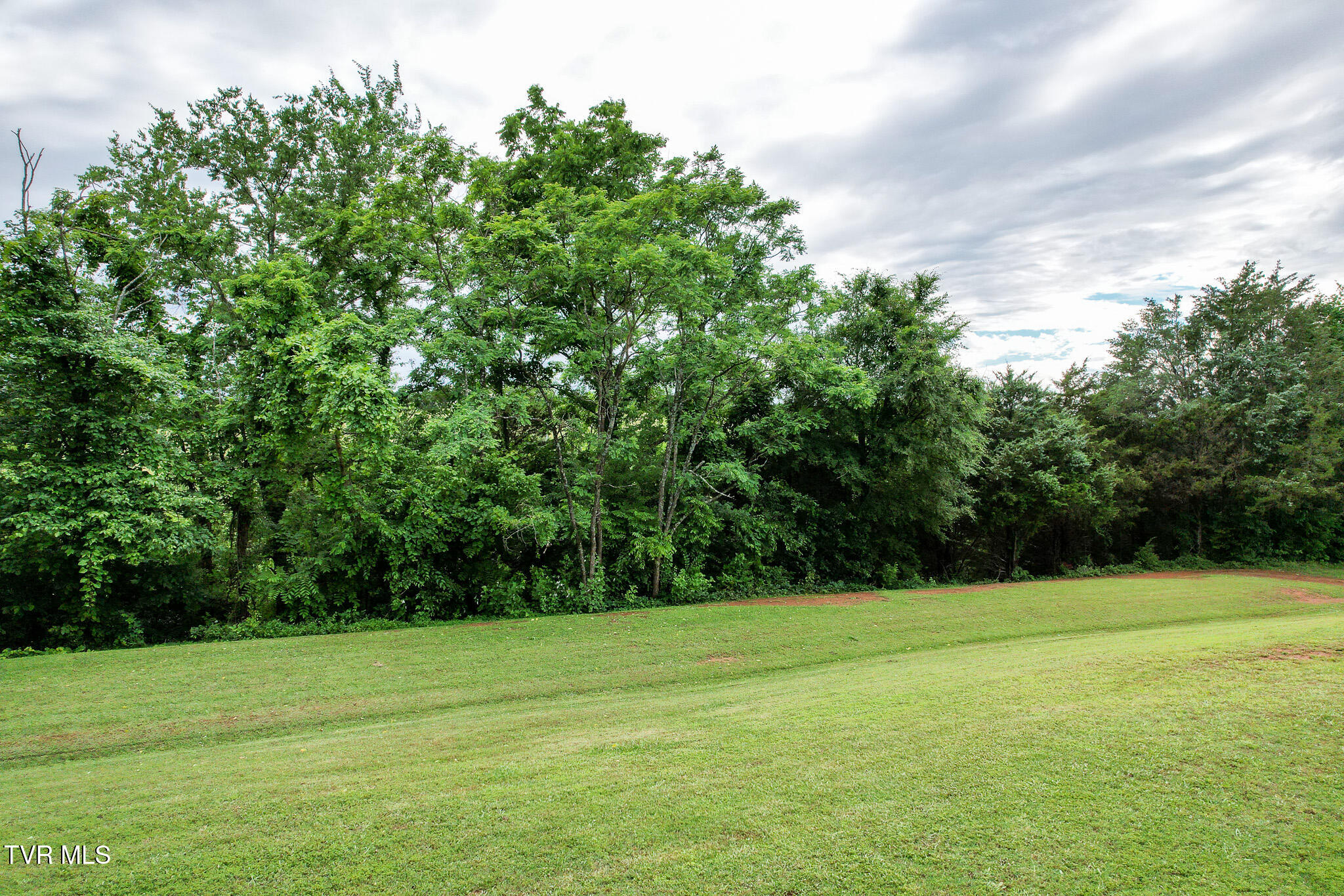 460 W Hills Dr Dr, Mosheim, Tennessee image 10