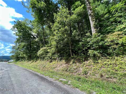 Vacant Land For Sale - TBD Rhea Road<br/> Johnson County, Mountain City, TN 37683