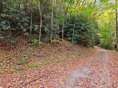 Vacant Land For Sale - 14B LOT Pennington Branch Road<br/> Smyth County, Troutdale, VA 24236