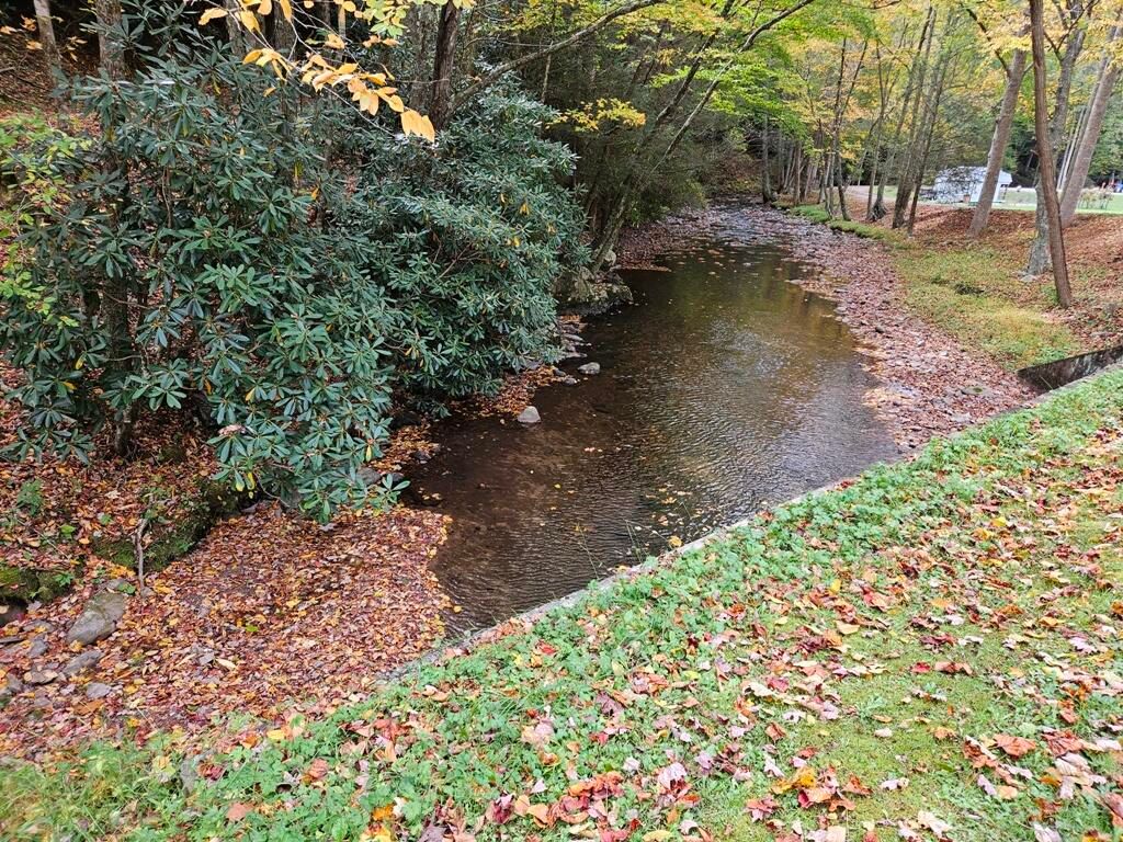 Photo of 14 Pennington Branch Road, Troutdale, VA 24236 (MLS # 9988411)