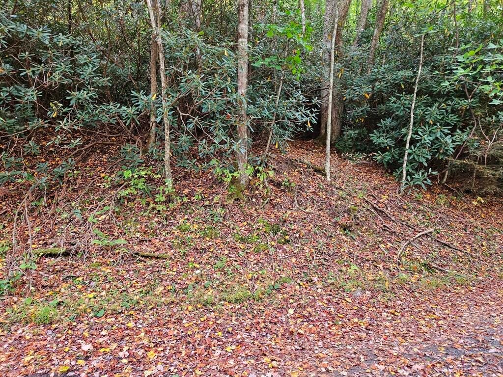 Photo of 14 Pennington Branch Road, Troutdale, VA 24236 (MLS # 9988411)