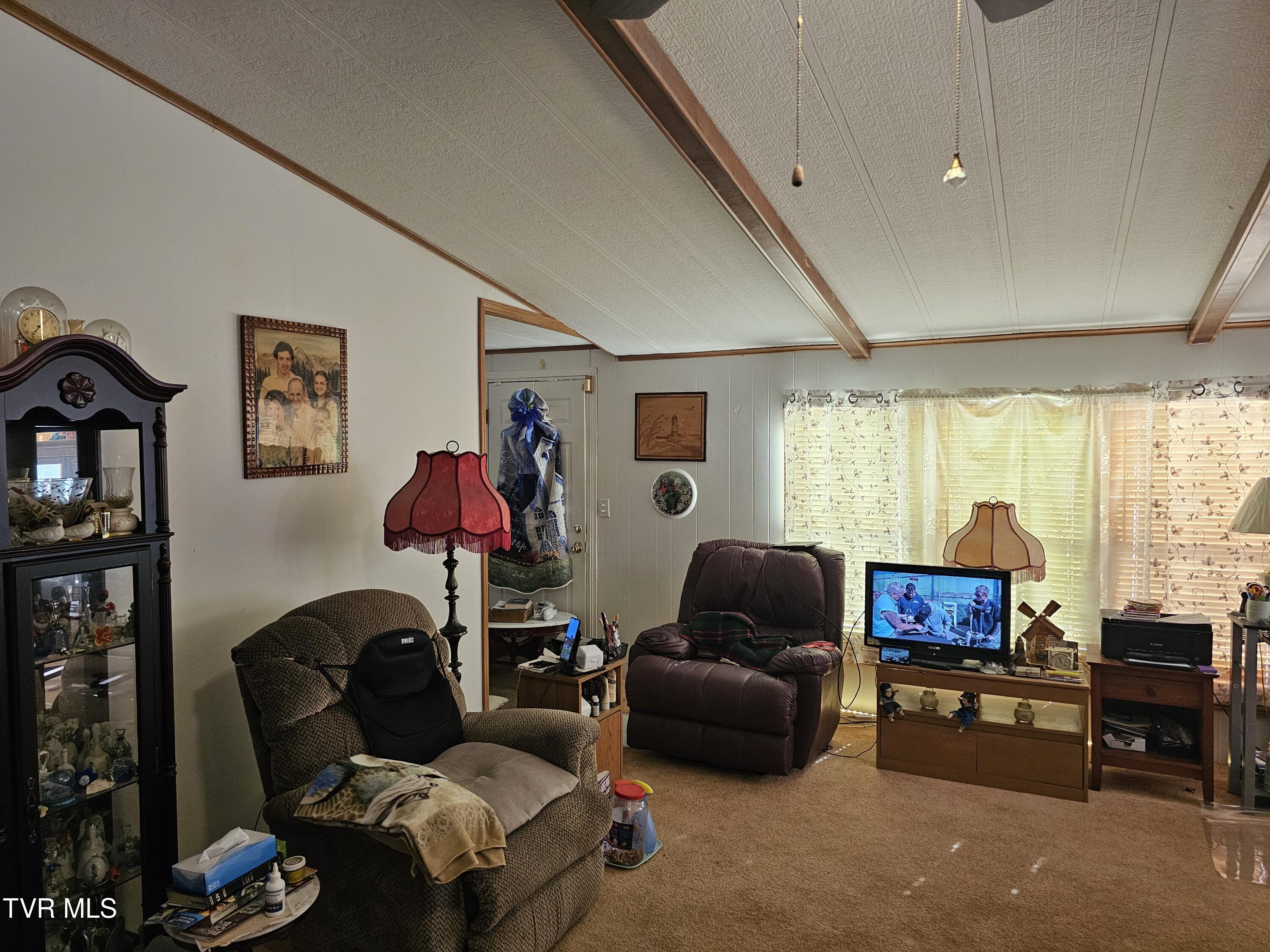 19175 County Park Road Rd, Abingdon, Virginia image 12