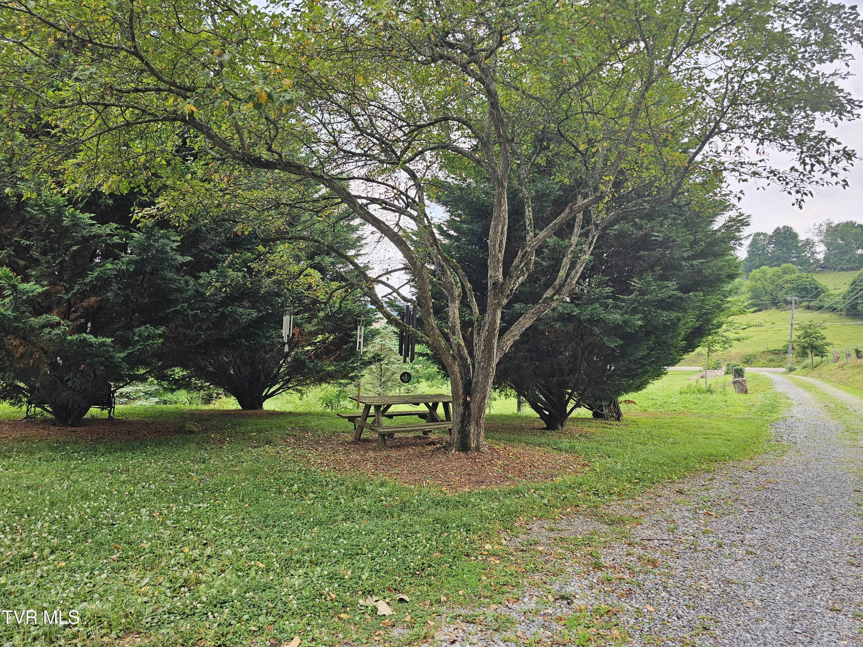 19175 County Park Road Rd, Abingdon, Virginia image 9
